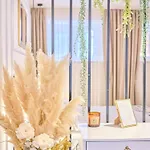 Daire Luxury Beauty Split