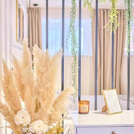 Apartment Luxury Beauty Split